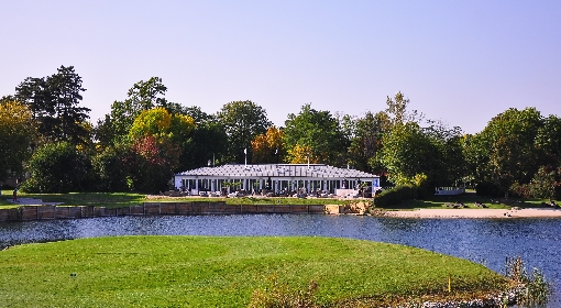 Diamond - Championship