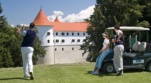 Grad Mokrice