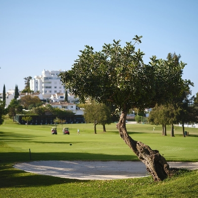 Guadalmina, The North