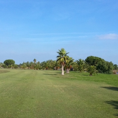Barialto
