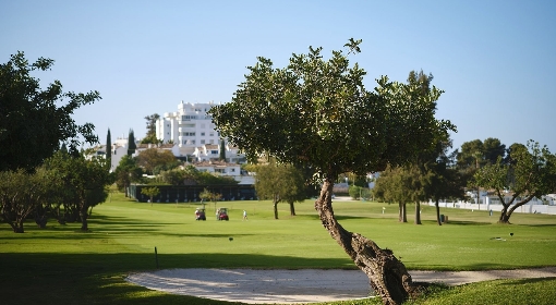 Guadalmina, The North